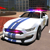 Mustang Police Car Driving 2021