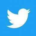 Twitter官网版  v1.0