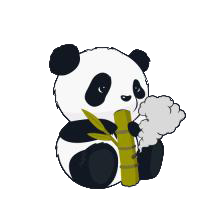 小熊猫内部版(国宝框架)